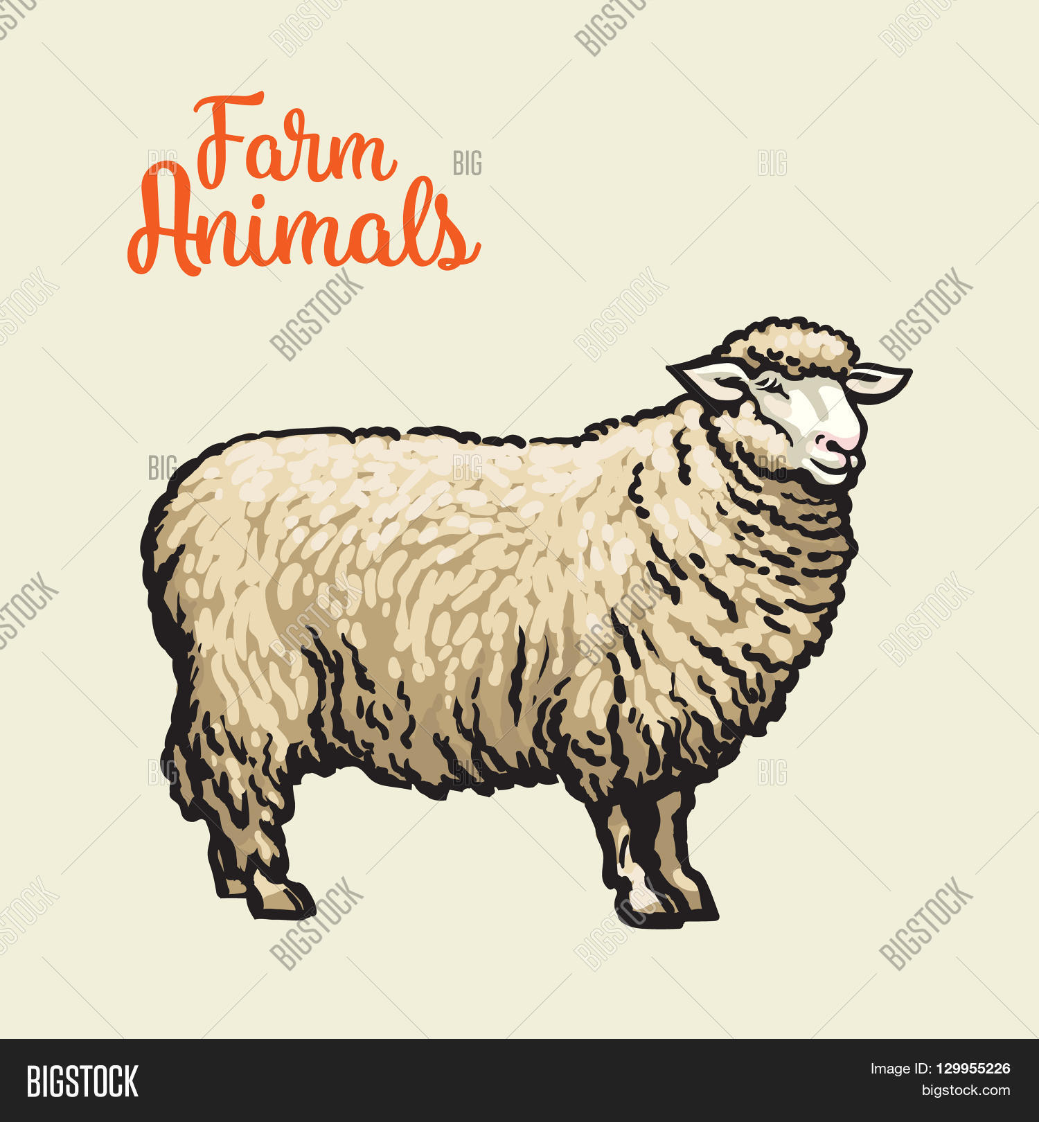 white sheep isolated sketch drawn by hand on a light background sheep farm animals