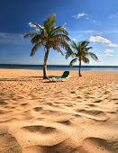 picture of beach  - Tropical beach - JPG 