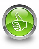 picture of survey  - like icon on glossy green round button - JPG 