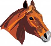 image of insert  - the head of a horse in a vector for an insertion in a medal - JPG 