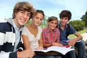 stock photo of group  - Group of teenagers studying outside the class - JPG 