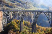 picture of bridge  - Djurdjevica Tara Bridge is a concrete arch bridge over the Tara River in northern Montenegro - JPG 