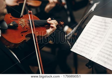 Poster: Elegant String Quartet Performing At