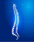 stock photo of segment  - Human spine anatomy - JPG 