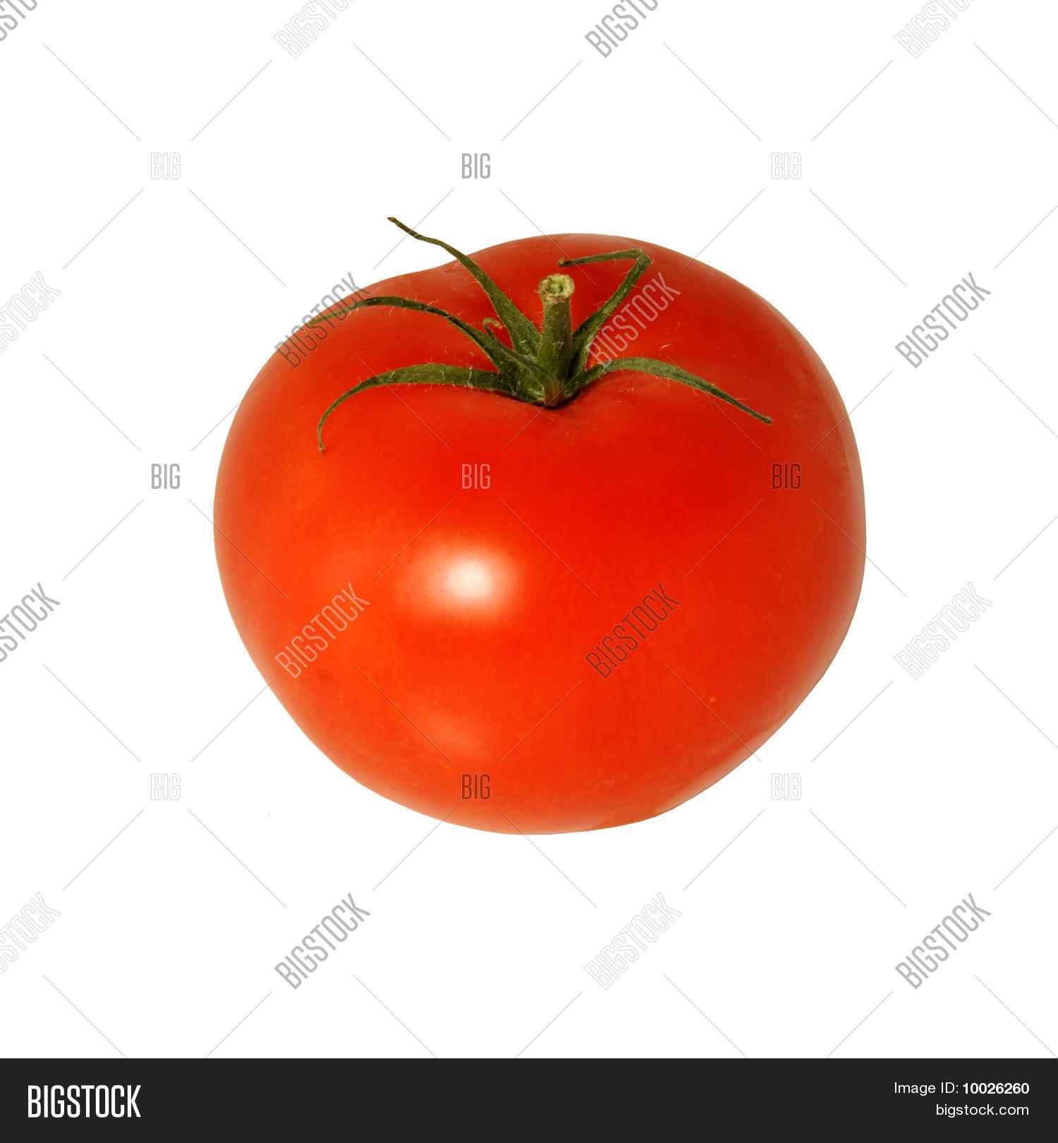 Image Preview