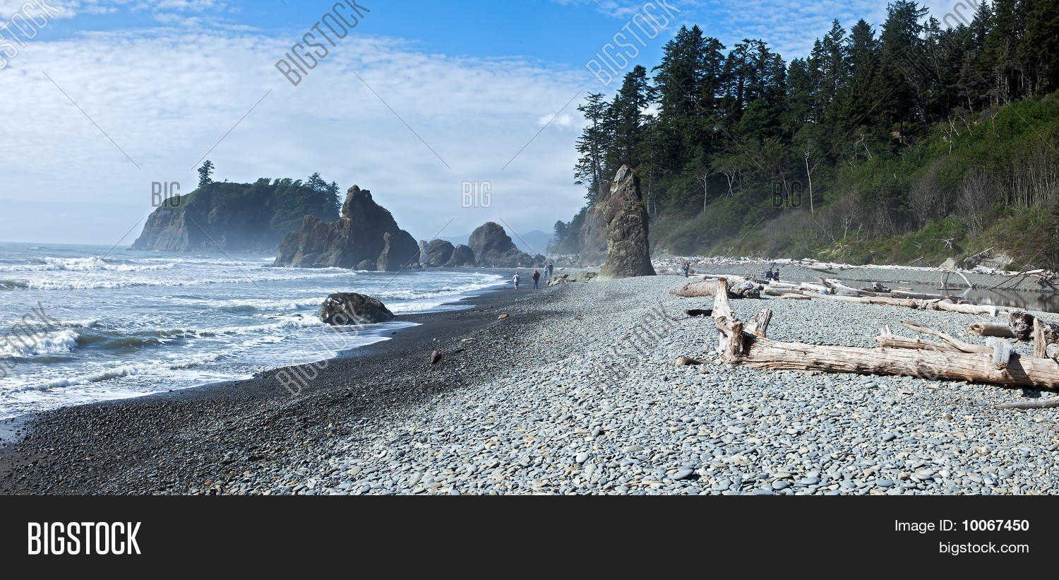 Image Preview