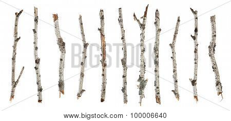 Collection dry branches birch isolated on white background