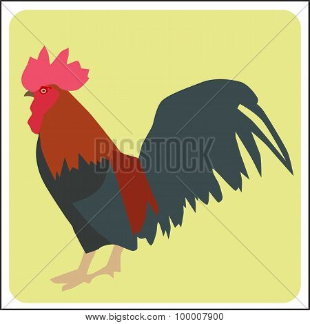 Bantam 2