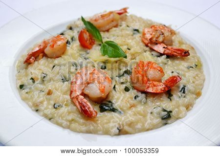 Tasty risotto with tiger prawns and special Arborio rice