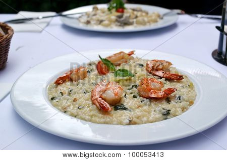 Tasty risotto with tiger prawns and special Arborio rice