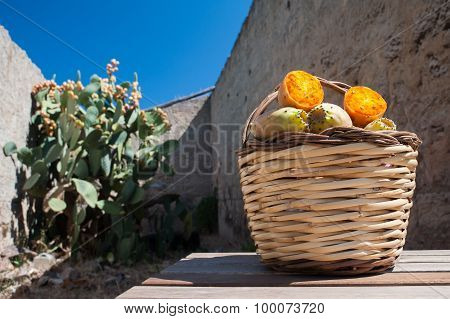 Harvest Time
