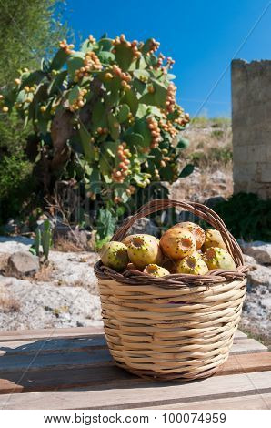 Harvest Time