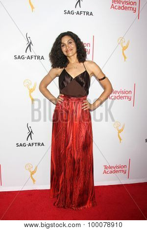 LOS ANGELES - AUG 27:  Ion Overman at the Dynamic & Diverse Emmy Celebration at the Montage Hotel on August 27, 2015 in Beverly Hills, CA