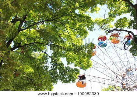 Ferris Wheel In The Park With Trees