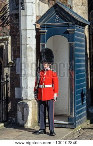 Guard At St. James Palace In London