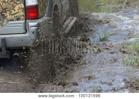 Splashes Of Mud