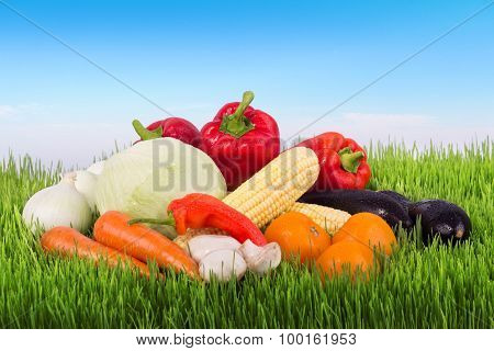 Fresh Vegetables On The Green Grass Against Sky