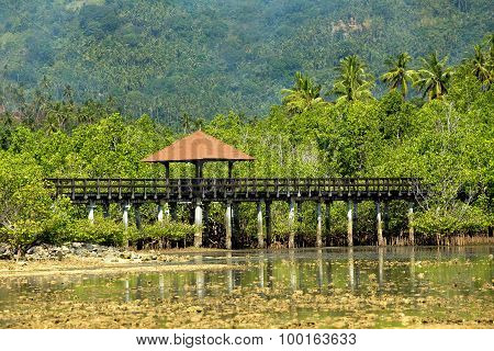 Indonesian Landscape With Mangrove And View Point Walkway