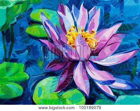 Water Lily