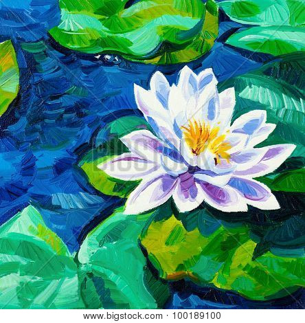 Water Lily