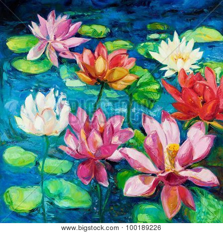 Water Lily