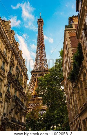 The Eiffel tower