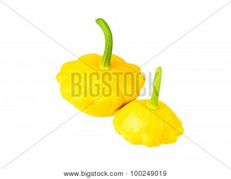 Scalloped custard squash (Cucurbita pepo var. patisson)