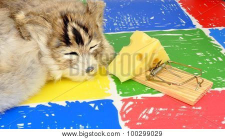 Cat And Mouse Trap