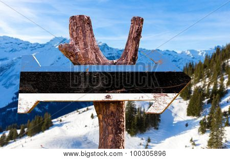 Estonia Flag wooden sign with winter background