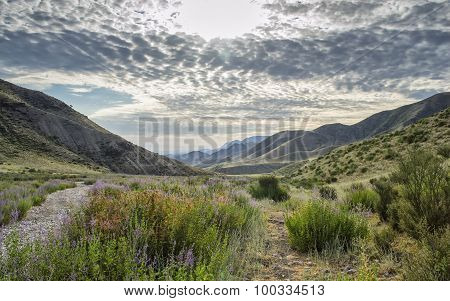 mountains of Kyrgyzstan