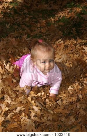Baby Crawling In Leaves