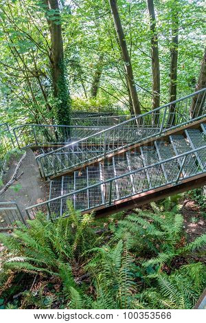 Eagle Landing Stairs 2