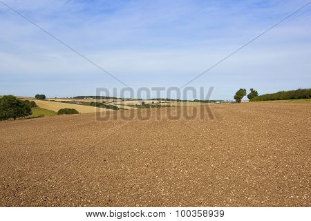 Yorkshire Wolds Agricultural Scenery