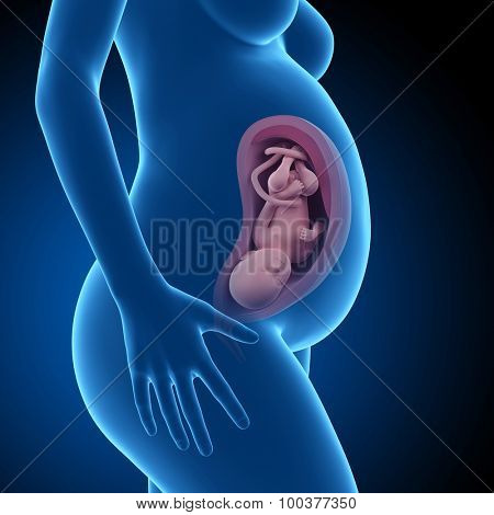 pregnant woman with visible fetus - week 36