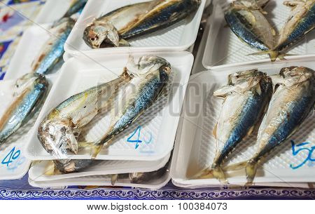 Mackerel Steam On A White Foam