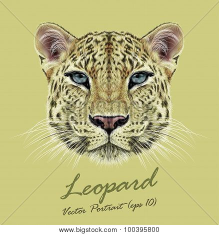 Vector Illustrative Portrait of Leopard
