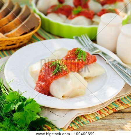 Cabbage Rolls With Tomato Sauce And Dill