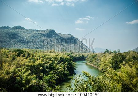 Mountain and tree