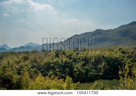 Mountain and tree