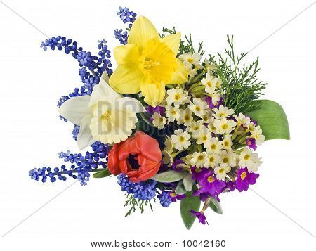 Sprig Mix Background