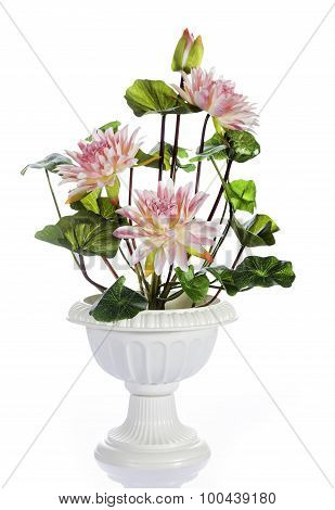Pink Water Lilly In White Vase Include Path And Shadow
