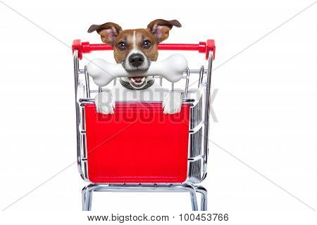 Shopping Cart Dog