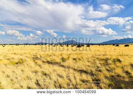 Prairie in Arizona