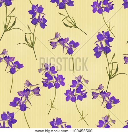 Seamless pattern with real herbarium flowers in purple colours on beige strips background
