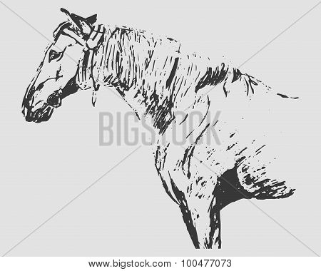 Horse Graphic Freehand Drawing (gray Tones)