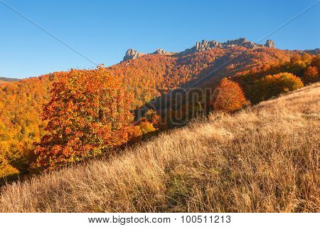 Mountain Landscape In Autumn With Idyllic Surroundings
