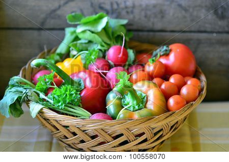 Tomatoes, radishes, peppers, parsley and wickerwork handbasket
