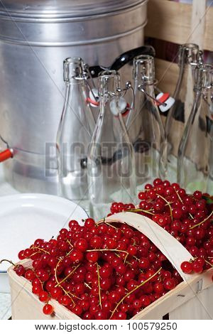 Ripe Red Currants For Syrup
