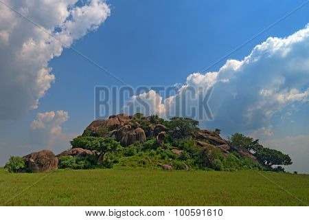 Pride Rock