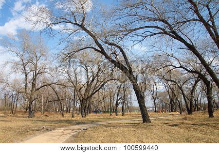 Park in the city of Krasnoyarsk